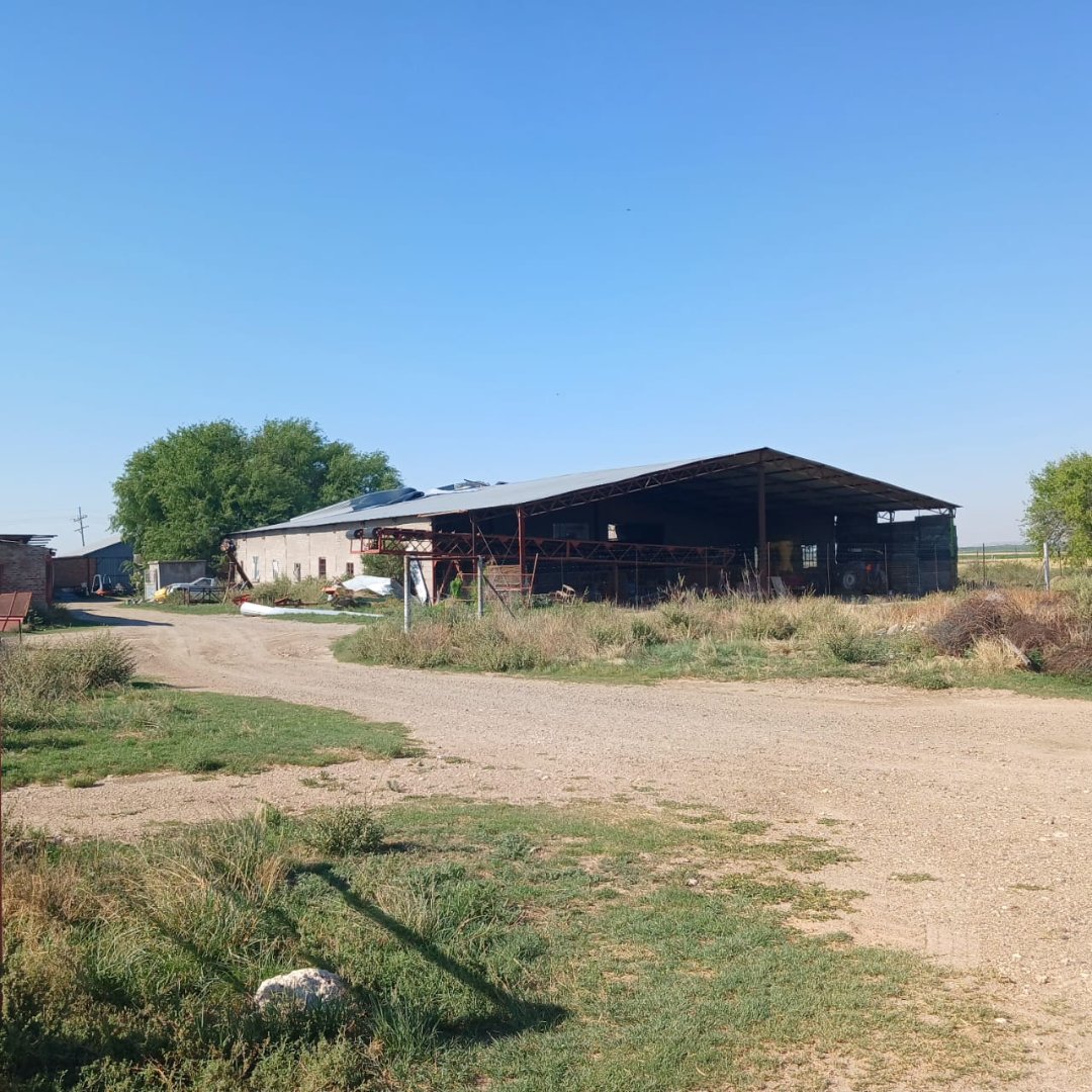 VERSATILE IRRIGATION AND PECAN NUT FARM FOR SALE photo 4