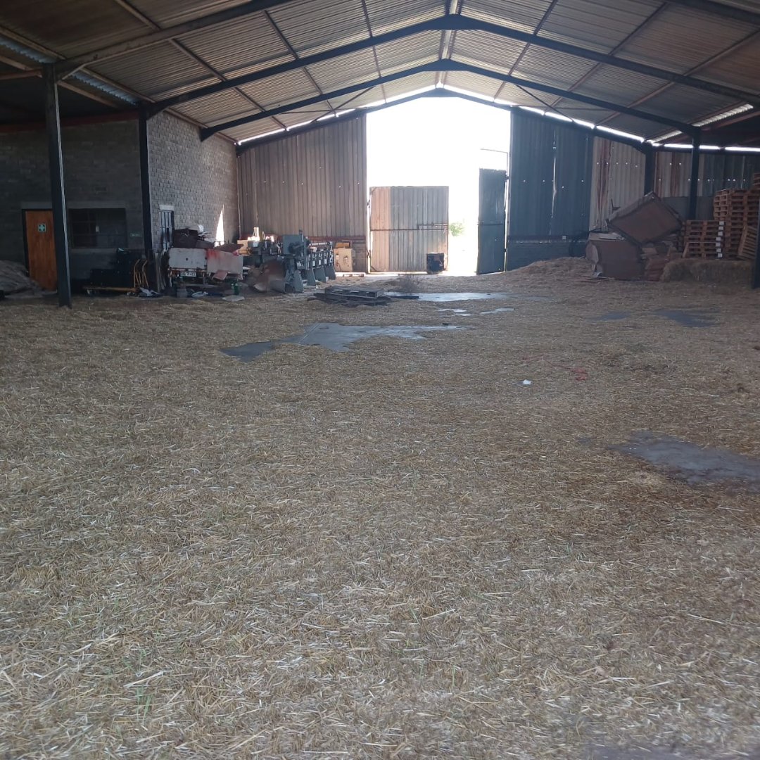 VERSATILE IRRIGATION AND PECAN NUT FARM FOR SALE photo 3