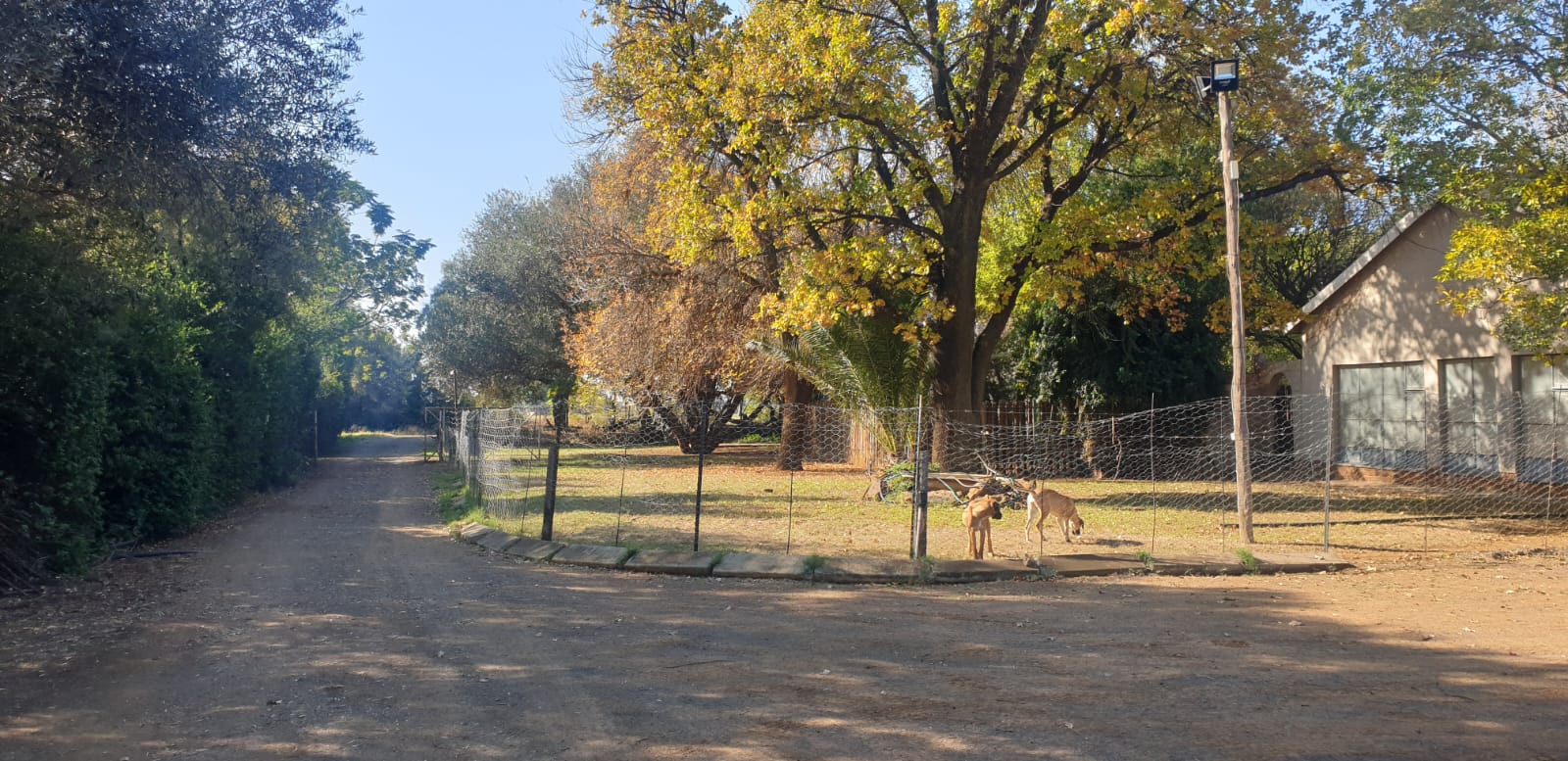 102HA PRODUCTIVE FARM FOR SALE IN BAINSVLEI photo 2