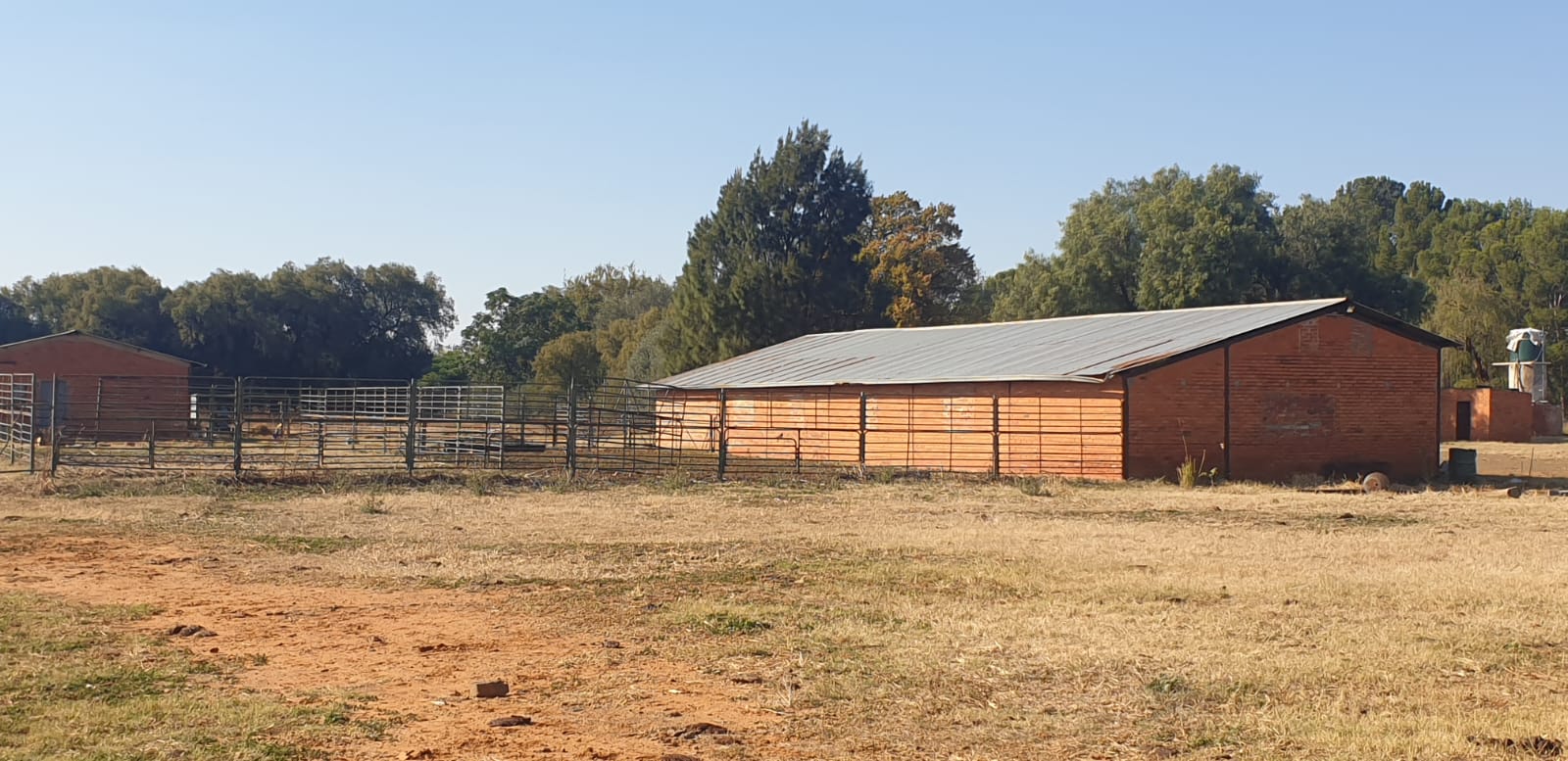 102HA PRODUCTIVE FARM FOR SALE IN BAINSVLEI photo 3
