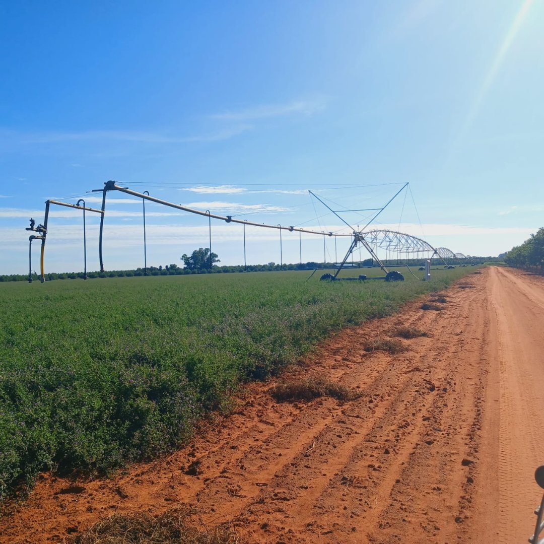 IRRIGATION FARM FOR SALE – HIGH-PRODUCTION LAND WITH WATER RIGHTS photo 3
