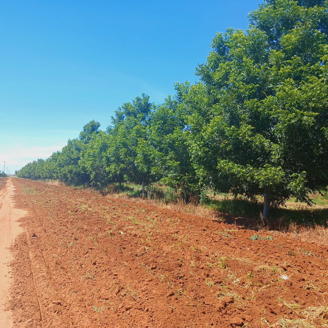 EXCEPTIONAL AGRICULTURAL HOLDING FOR PRECISION FARMING photo 2