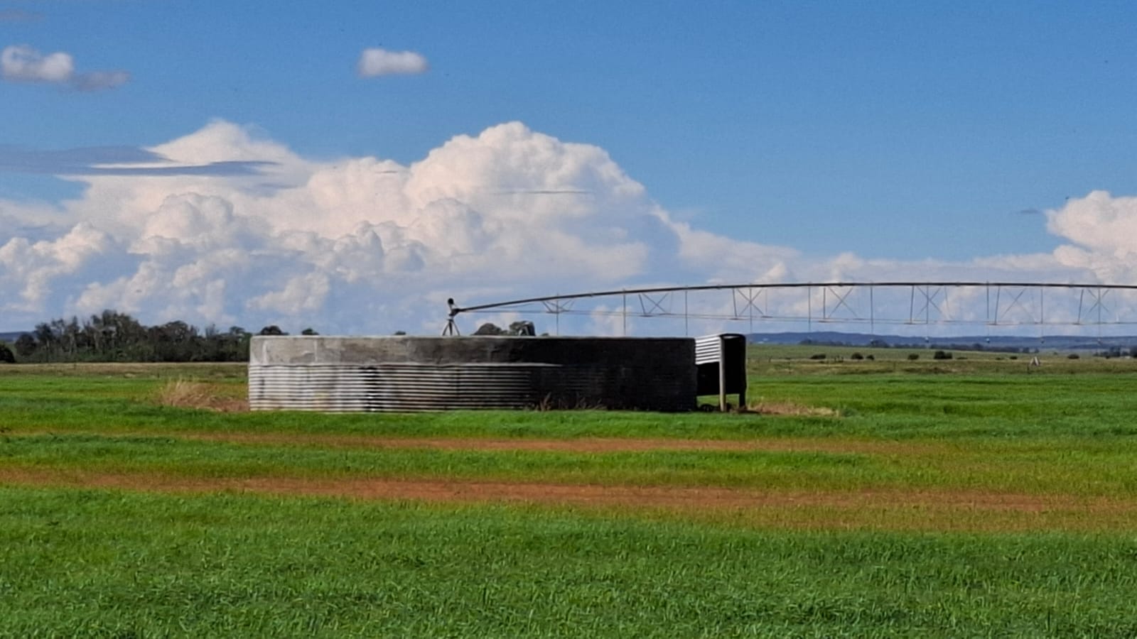 WATER-RICH 69 HA FARM FOR SALE – WEST OF BLOEMFONTEIN