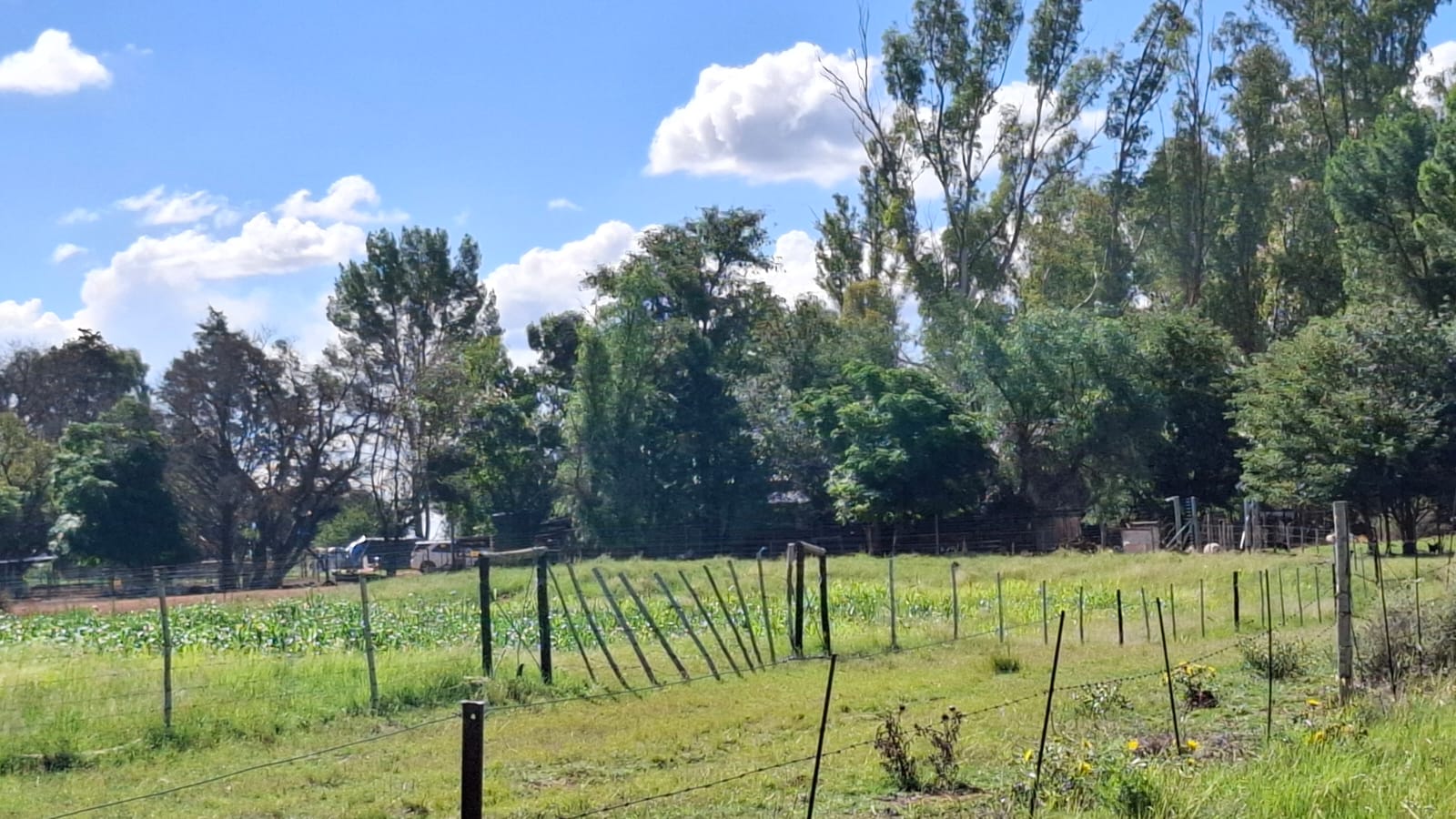 WATER-RICH 69 HA FARM FOR SALE – WEST OF BLOEMFONTEIN photo 4