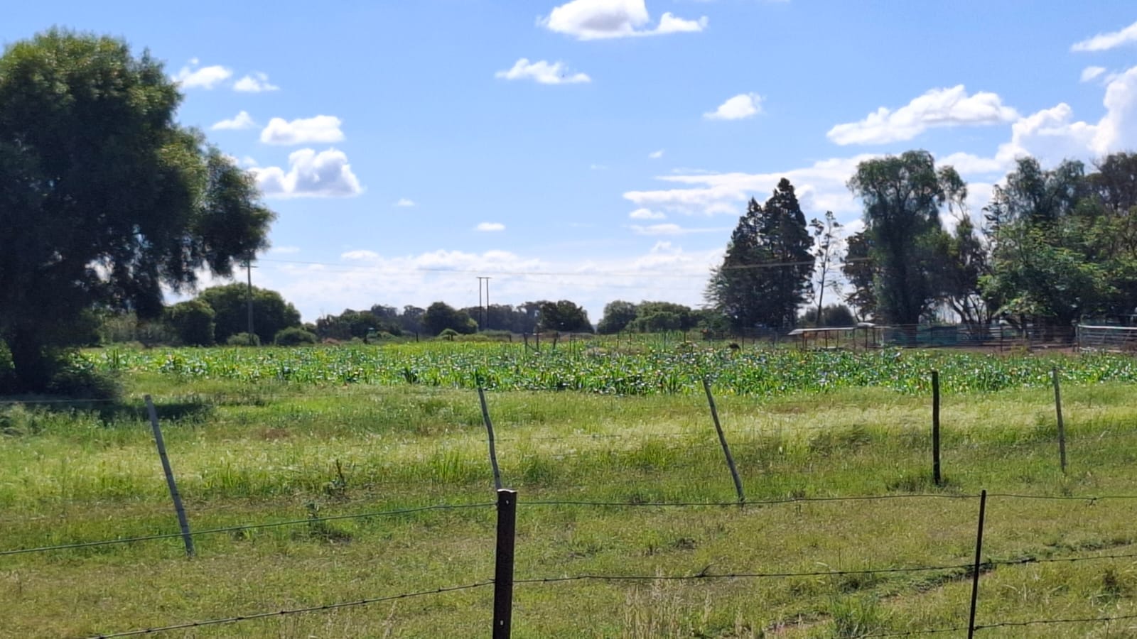 WATER-RICH 69 HA FARM FOR SALE – WEST OF BLOEMFONTEIN photo 5