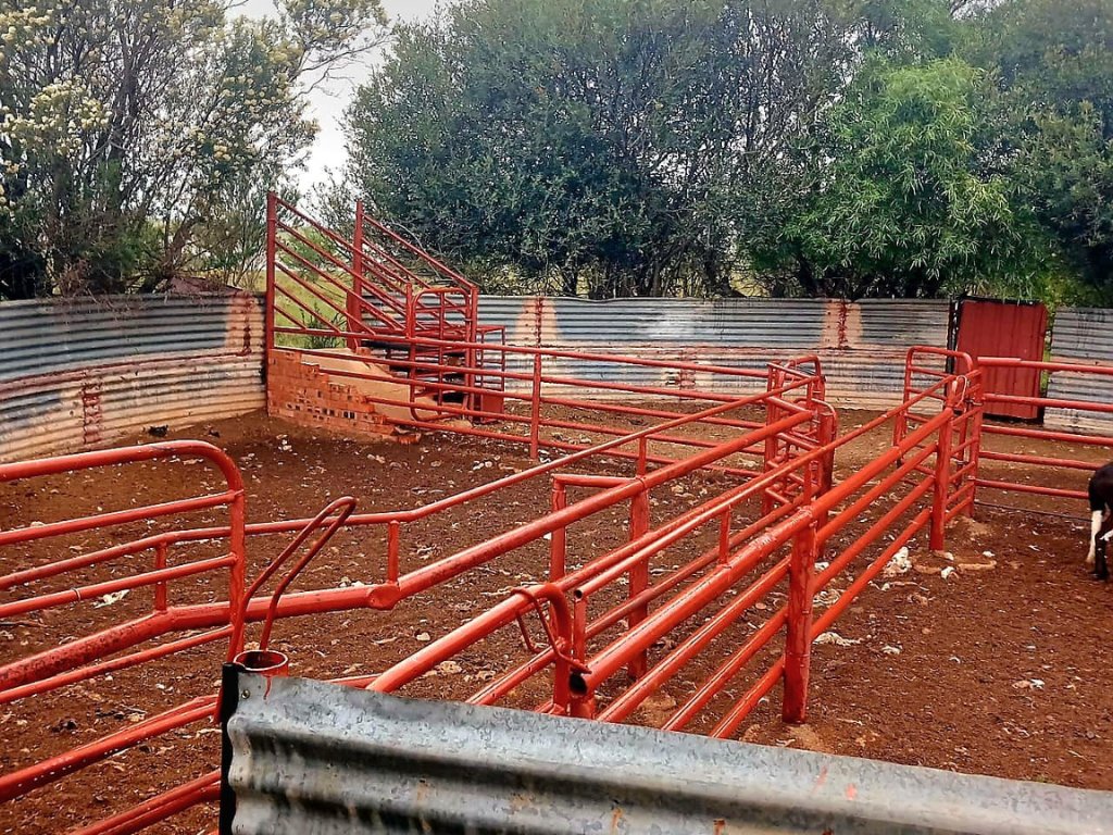 460 HA PLAAS MET VEESTELSEL, WILD EN SONKRAG – VOLHOUBARE LANDBOU-INVESTERING photo 4