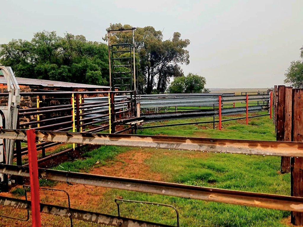460 HA PLAAS MET VEESTELSEL, WILD EN SONKRAG – VOLHOUBARE LANDBOU-INVESTERING photo 3