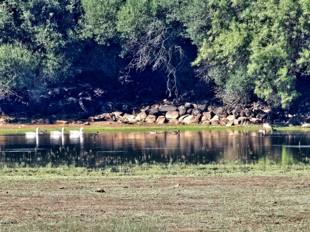 1092 HA FARM WITH WATER RIGHTS, GAME & SOLAR POWER – MULTIPLE INVESTMENT OPTIONS photo 2