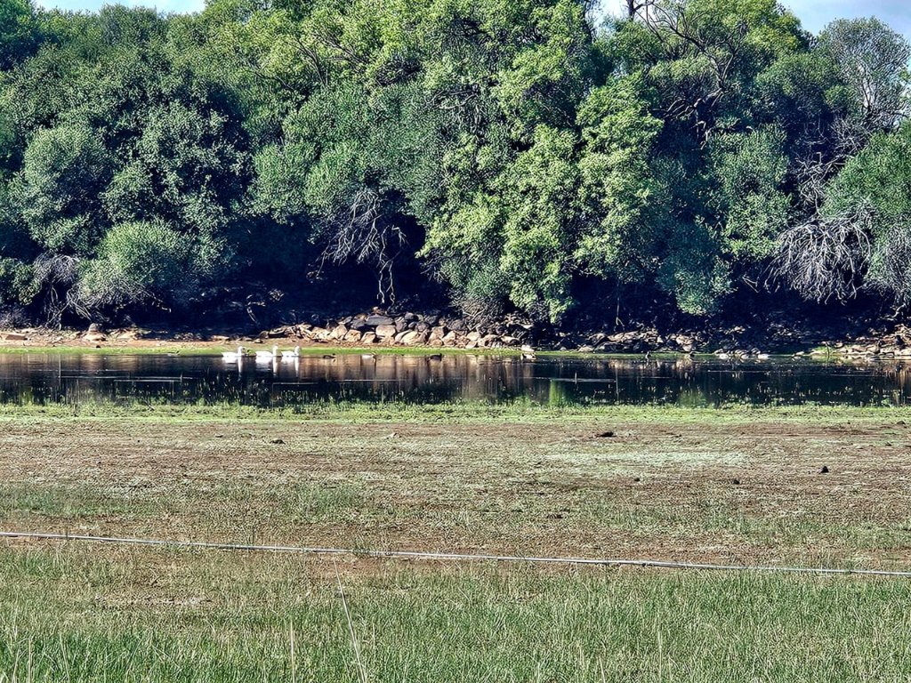 1092 HA FARM WITH WATER RIGHTS, GAME & SOLAR POWER – MULTIPLE INVESTMENT OPTIONS photo 3