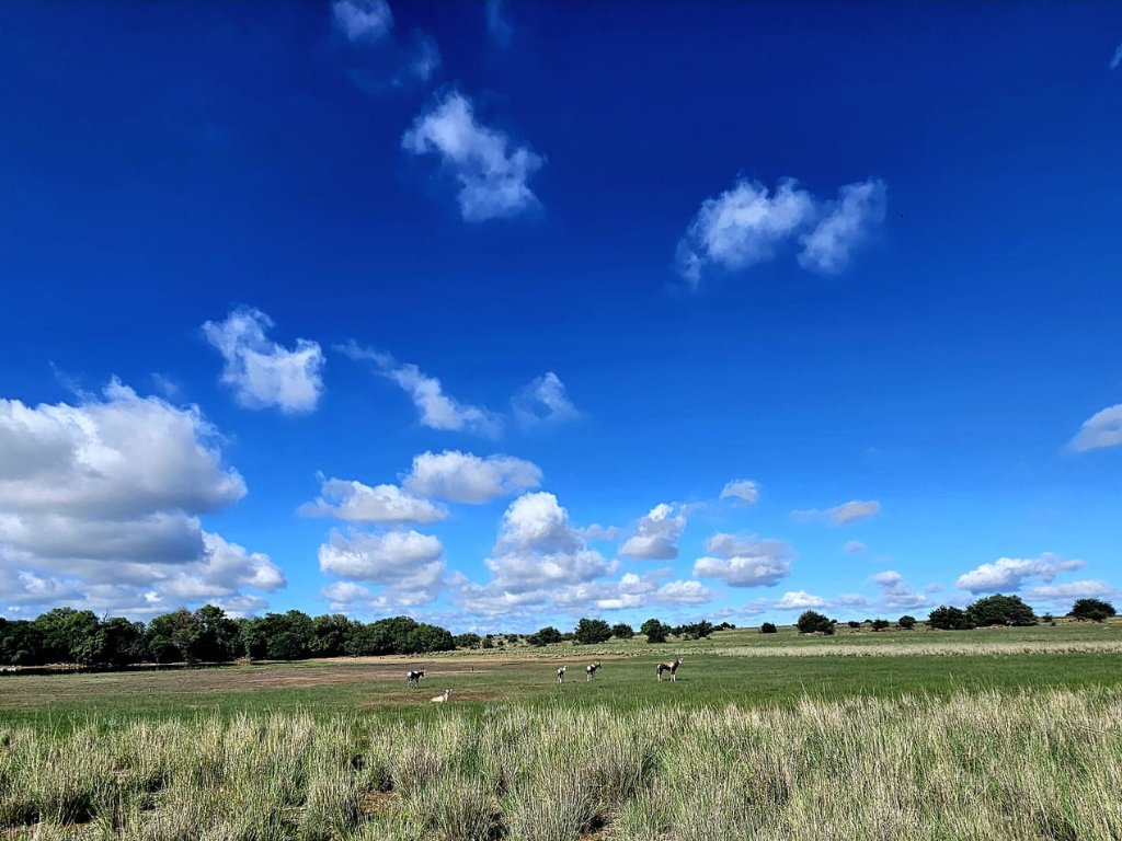 1092 HA FARM WITH WATER RIGHTS, GAME & SOLAR POWER – MULTIPLE INVESTMENT OPTIONS photo 5
