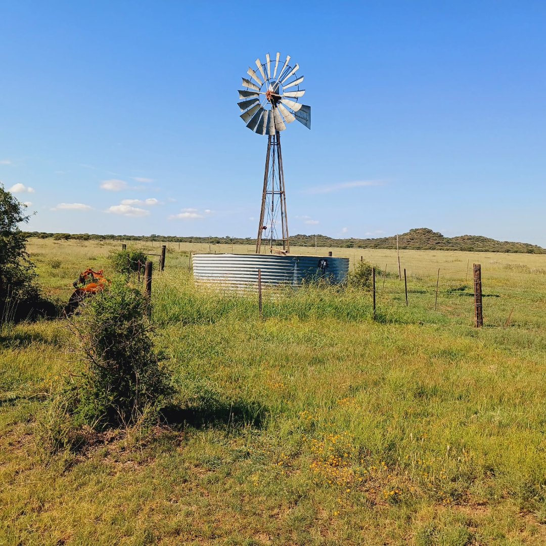 SOLE MANDATE - 667HA FARM WITH WATER, CAMPS, GRAZING AND INFRASTRUCTURE – READY FOR LIVESTOCK AND GAME photo 5