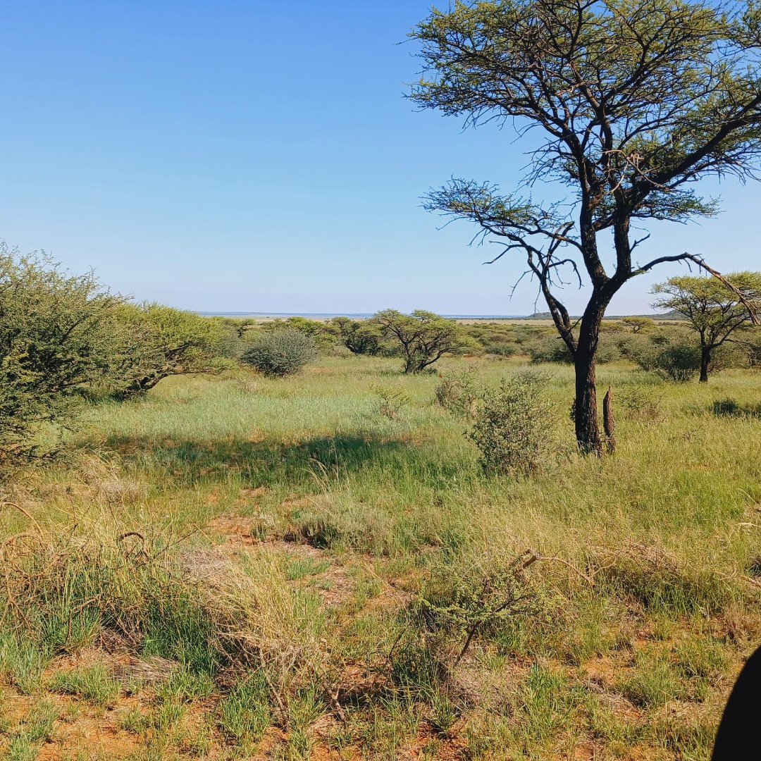 SOLE MANDATE - 667HA FARM WITH WATER, CAMPS, GRAZING AND INFRASTRUCTURE – READY FOR LIVESTOCK AND GAME photo 2