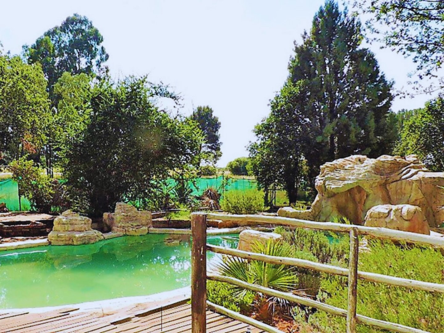 SOLE MANDATE - HIGH-VISIBILITY COMMERCIAL PROPERTY ON THE N8 – WESTERN DEVELOPMENT BELT photo 3