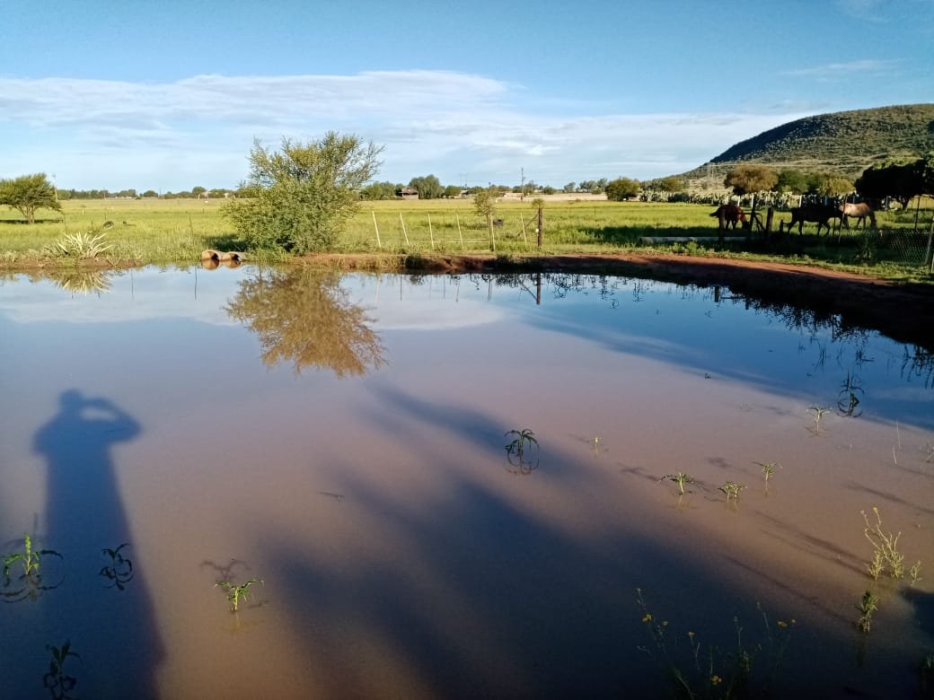 Stunning 8.56 Smallholding -Bloemdal Ood photo 2