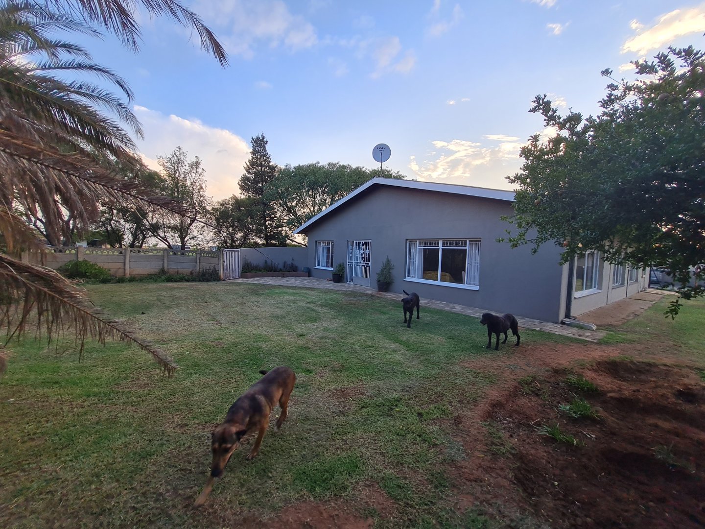 Stunning 8.56 Smallholding -Bloemdal Ood photo 3