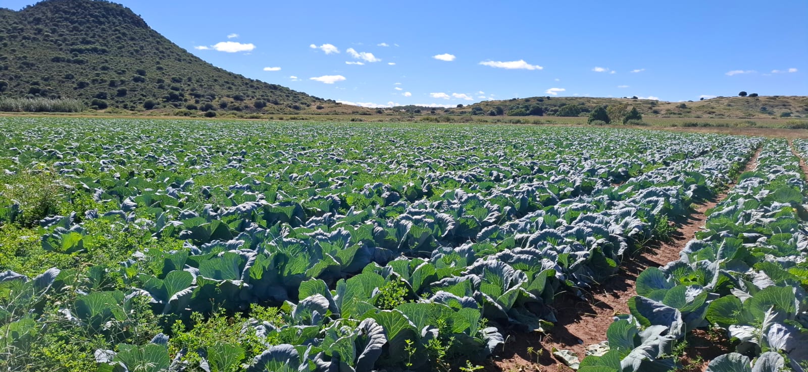 Water is Wealth — and this farm has it! -  305ha Prime Property photo 2