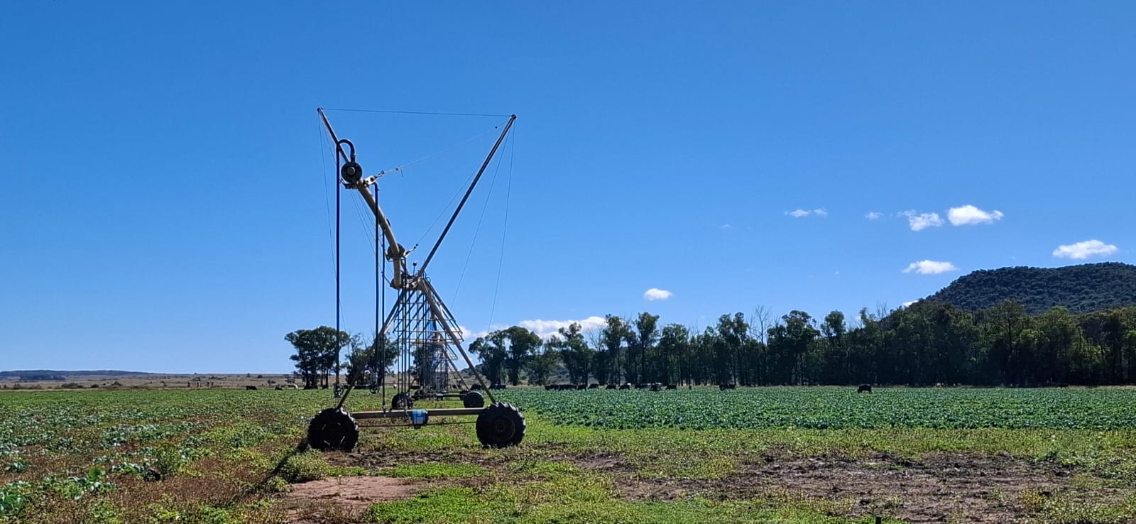 Water is Wealth — and this farm has it! -  305ha Prime Property photo 4