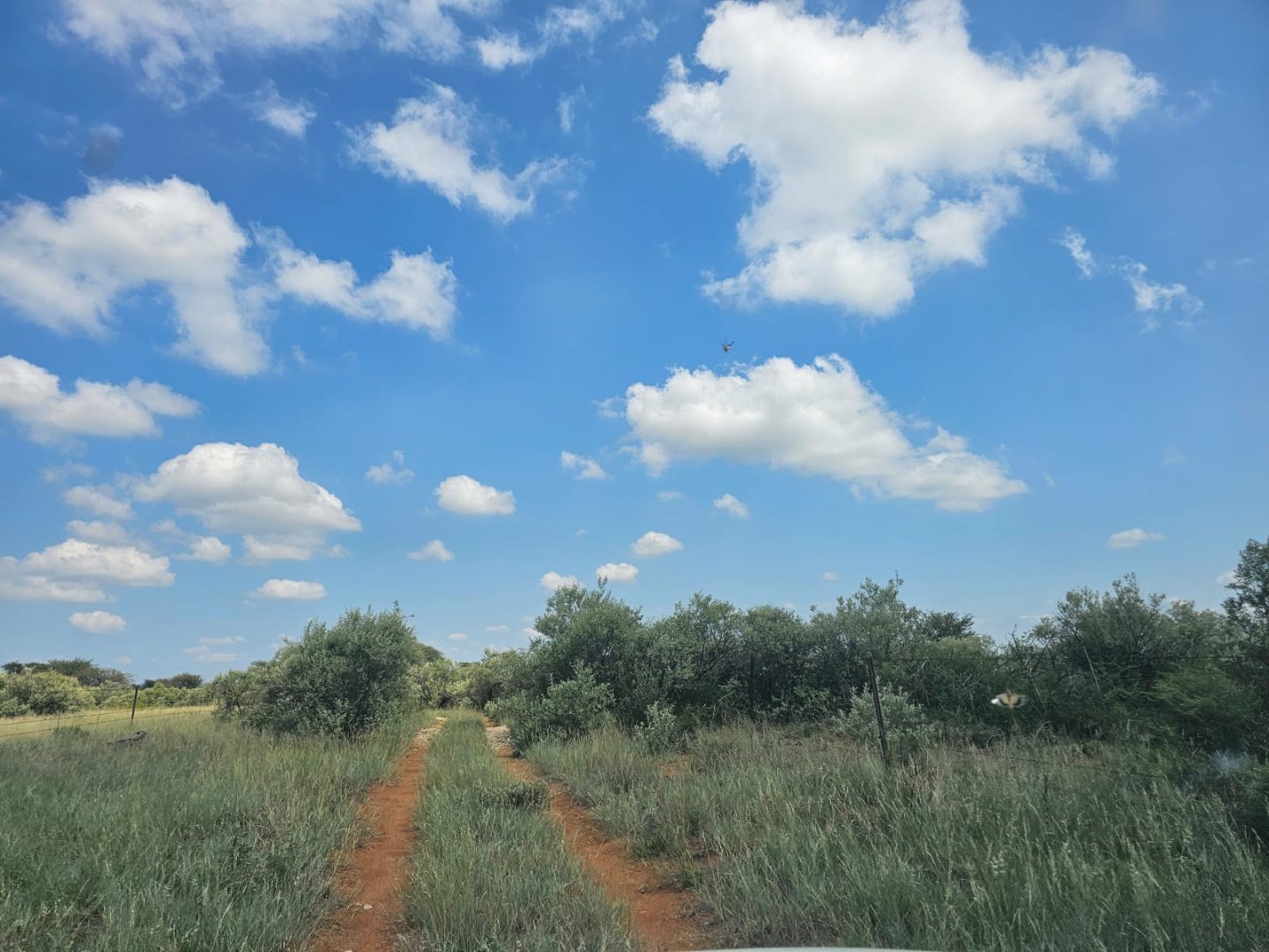 518HA IRRIGATION AND LIVESTOCK FARM – FULL WATER RIGHTS - FULLY EQUIPPED photo 4