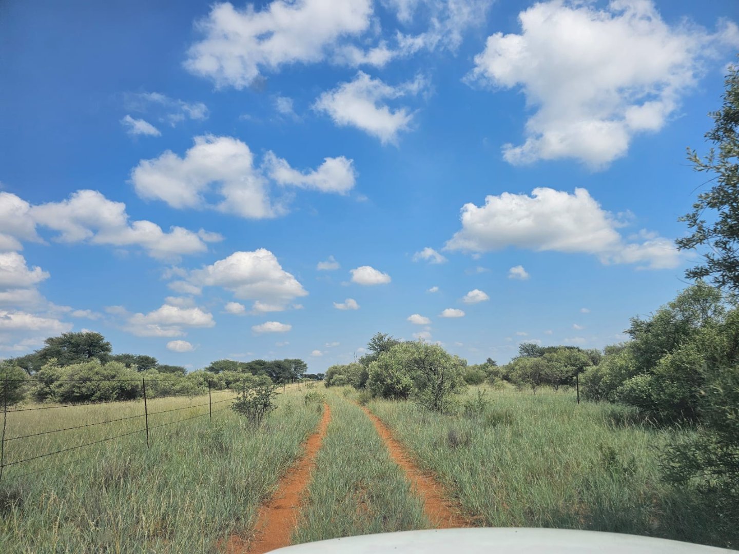 518HA IRRIGATION AND LIVESTOCK FARM – FULL WATER RIGHTS - FULLY EQUIPPED photo 5