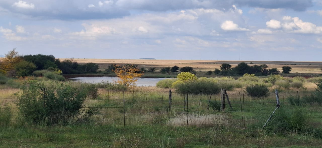 891HA FARM FOR SALE IN BLOEMFONTEIN  photo 2