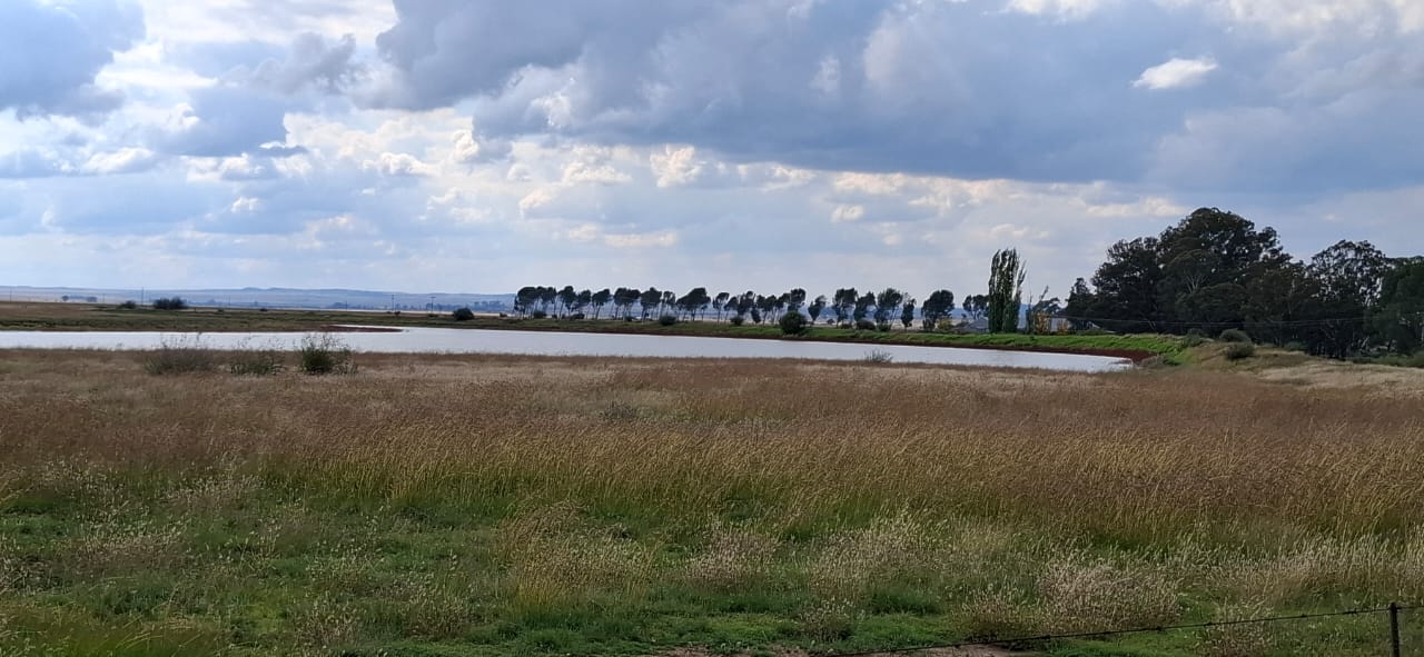 891HA FARM FOR SALE IN BLOEMFONTEIN  photo 3