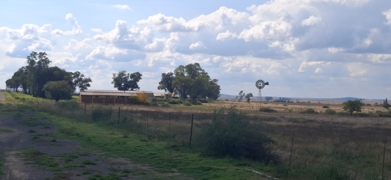 891HA FARM FOR SALE IN BLOEMFONTEIN  photo 4