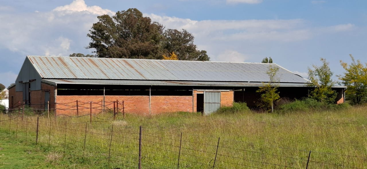 891HA FARM FOR SALE IN BLOEMFONTEIN  photo 5
