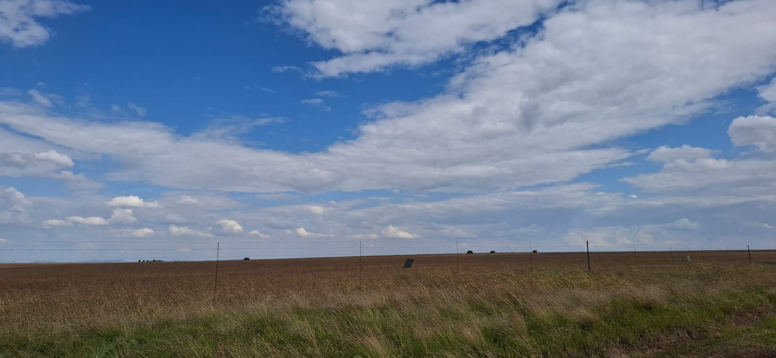 GRAZING FARM FOR SALE – 20KM FROM BLOEMFONTEIN photo 2