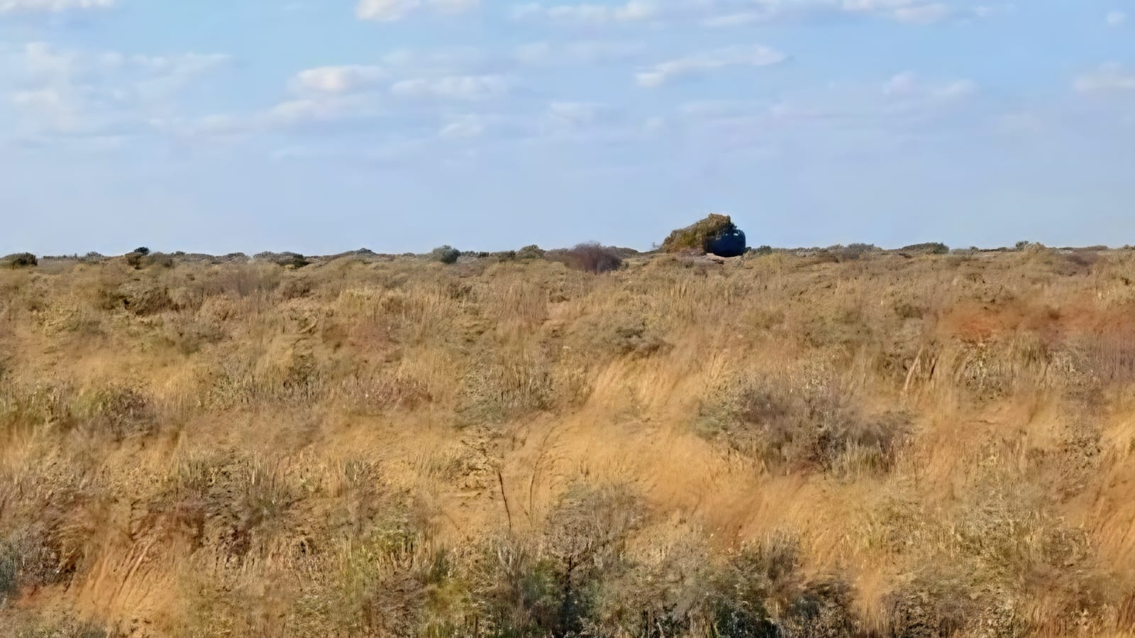 1 429ha Farm for Sale | Barkly West, Northern Cape | Livestock & Game | 5 Dams | 13 Camps photo 2
