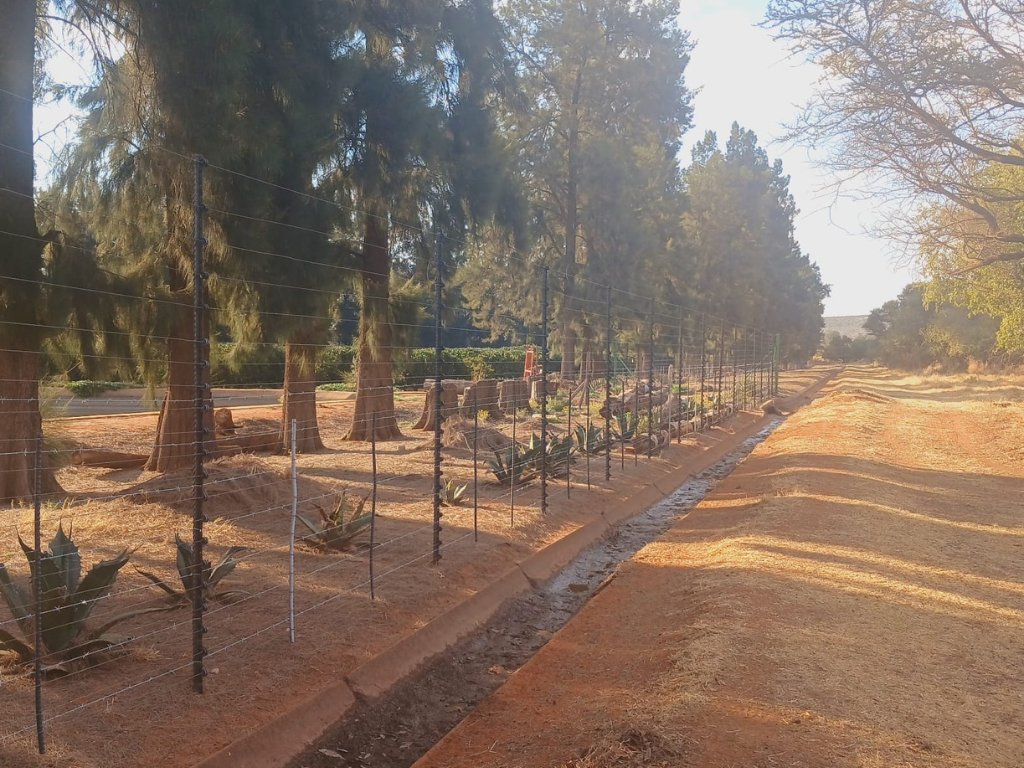 PRIME PECAN AND CITRUS FARM photo 5