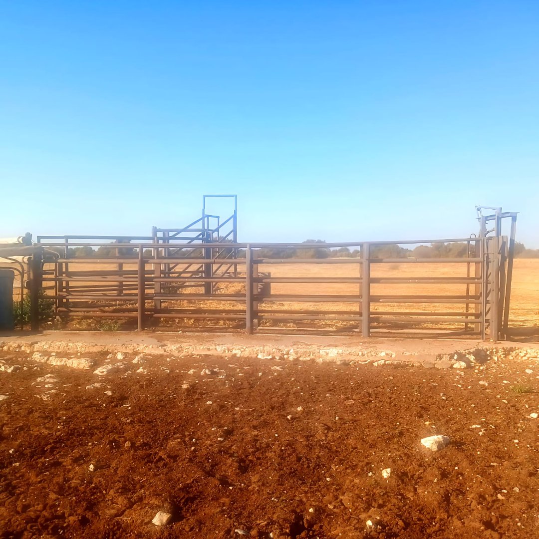 1,783 HA  HIGH POTENTIAL CATTLE AND GRAZING FARM FOR SALE IN REIVILO photo 2