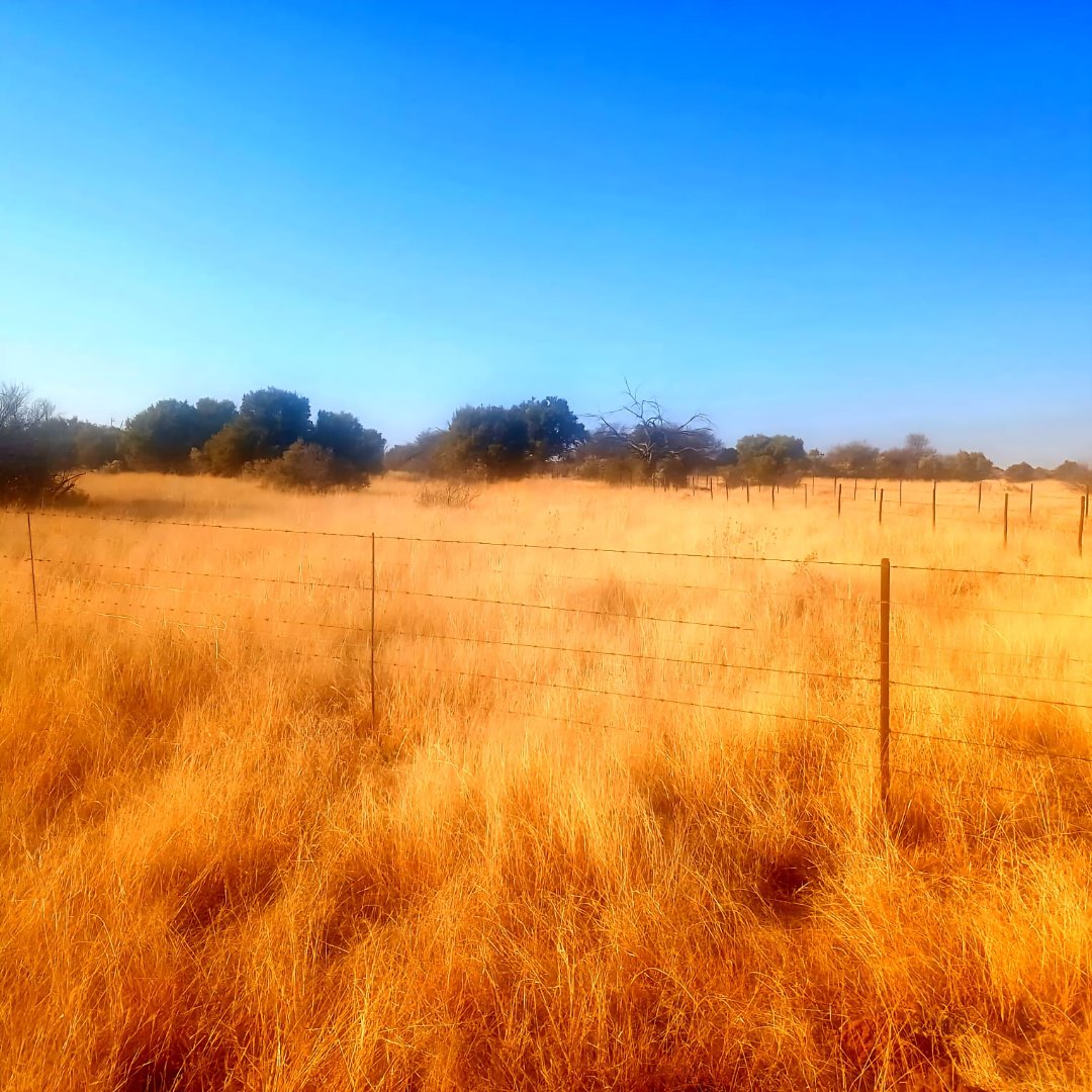 1,783 HA HIGH POTENTIAL CATTLE AND GRAZING FARM FOR SALE IN REIVILO