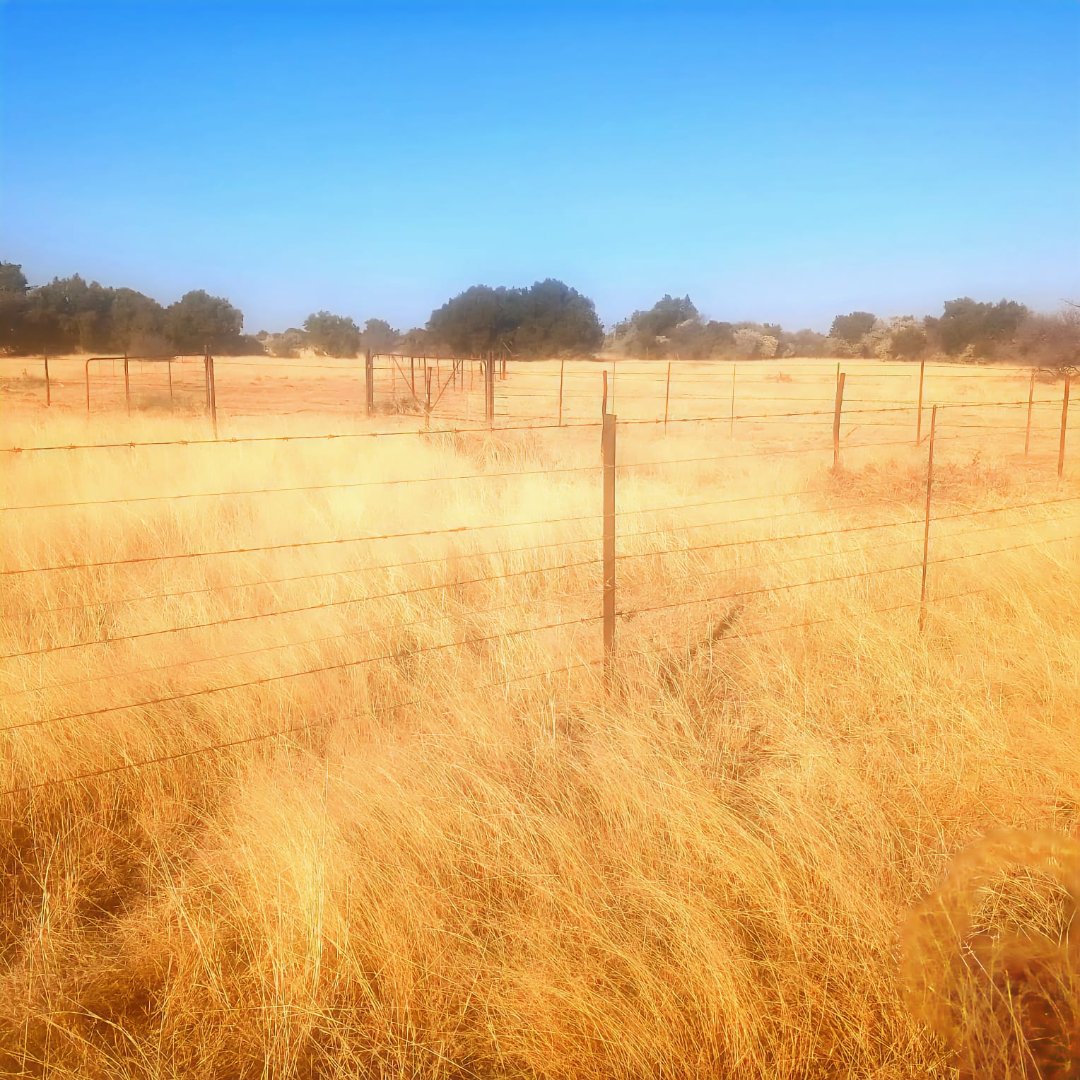 1,783 HA  HIGH POTENTIAL CATTLE AND GRAZING FARM FOR SALE IN REIVILO photo 5
