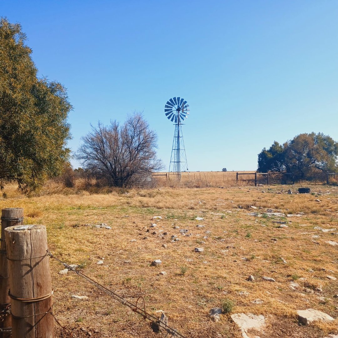 702 HA CATTLE FARM FOR SALE – REIVILO photo 3