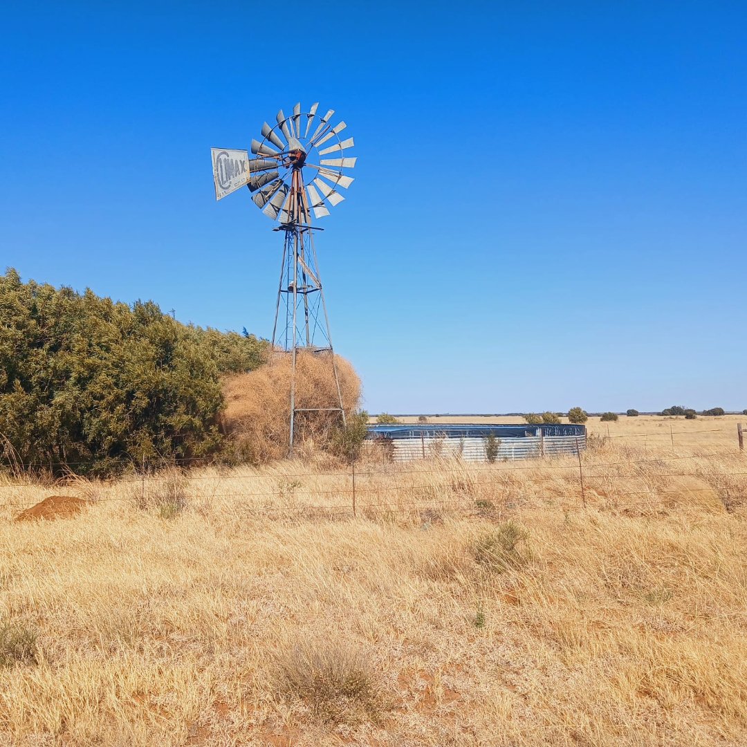 702 HA CATTLE FARM FOR SALE – REIVILO photo 2