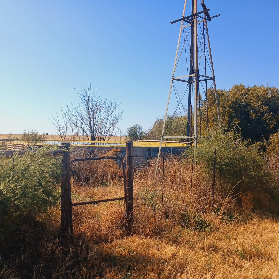 702 HA CATTLE FARM FOR SALE – REIVILO photo 4