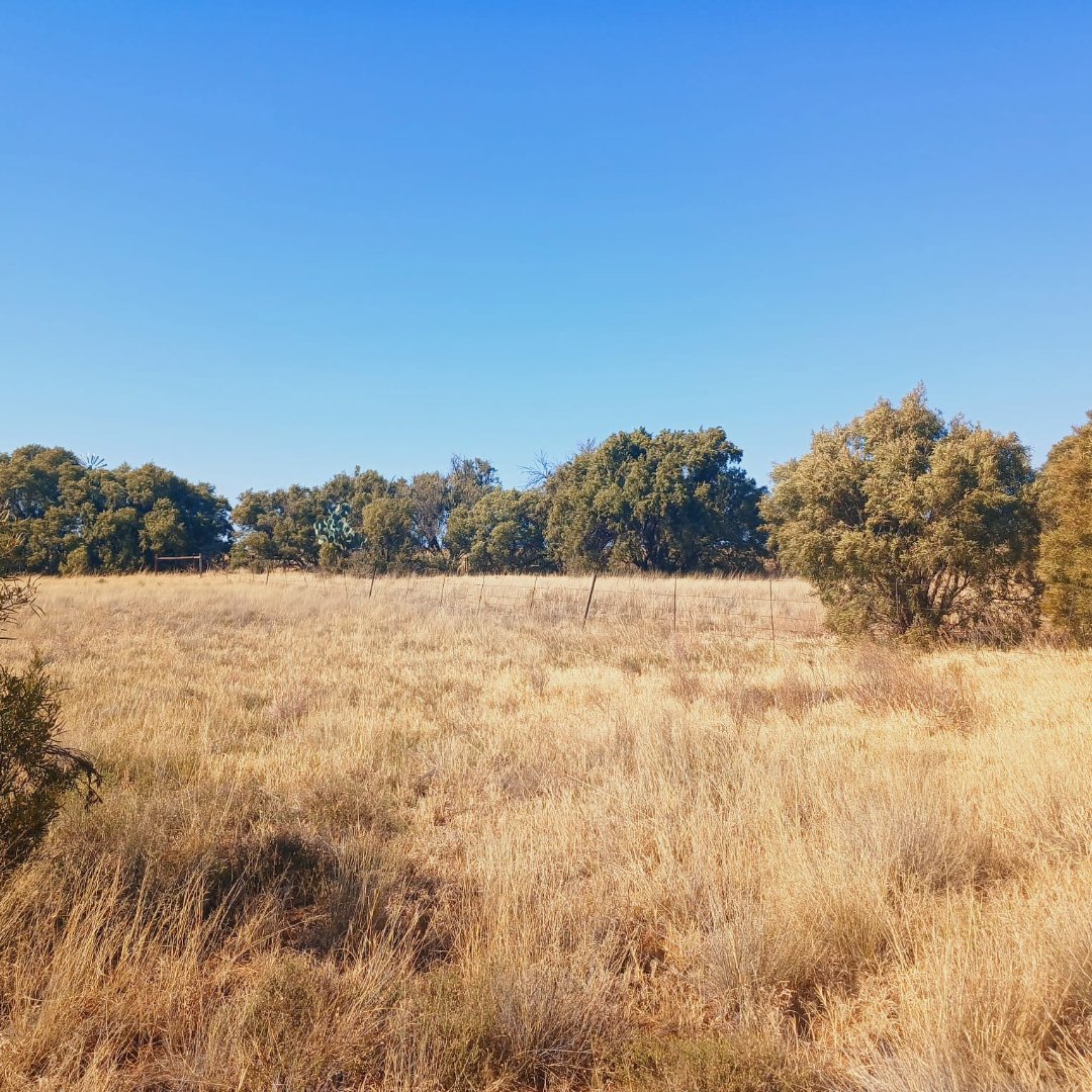 702 HA CATTLE FARM FOR SALE – REIVILO