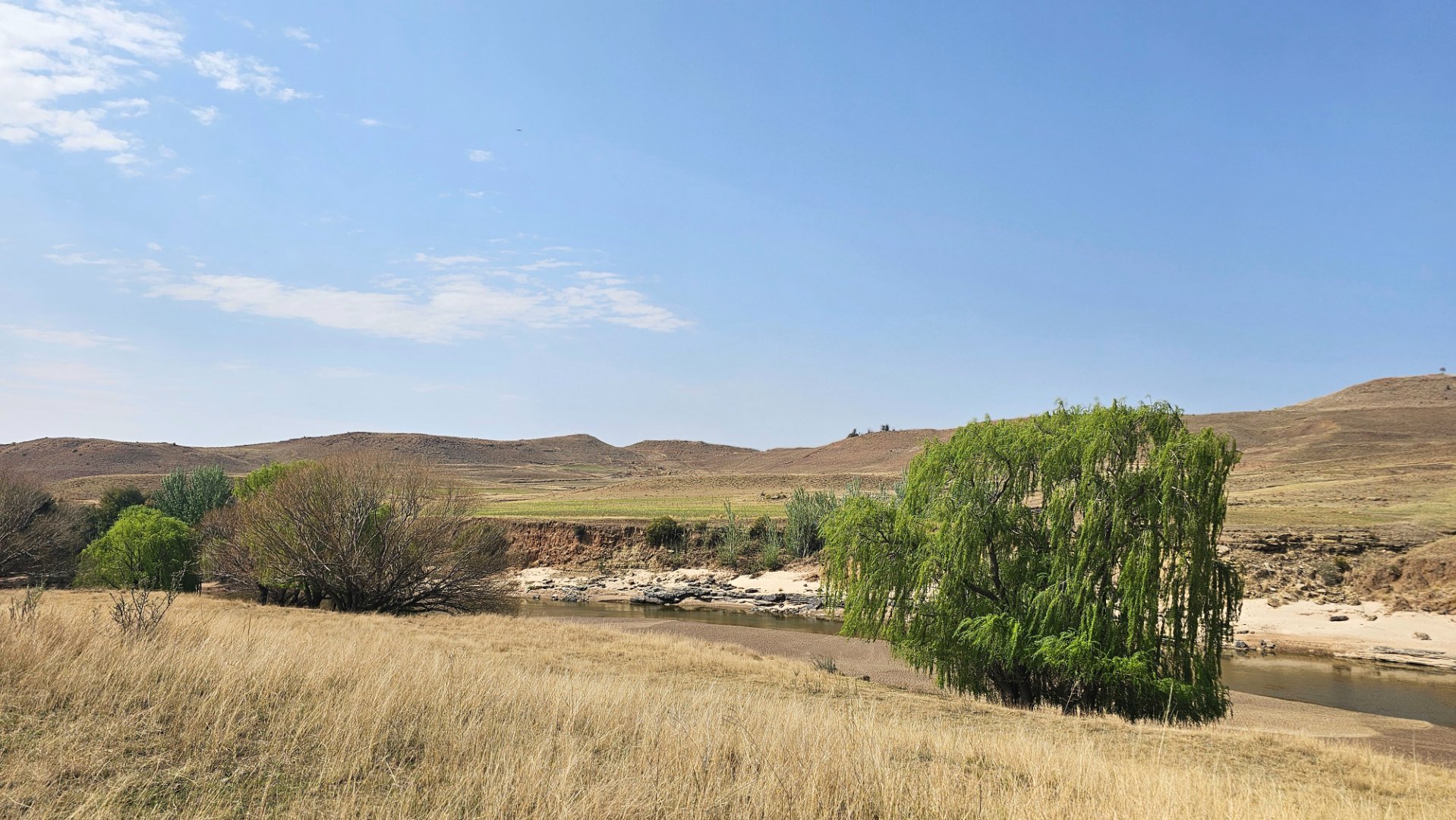 MIXED-USE FARM FOR SALE – LADYBRAND DISTRICT photo 4