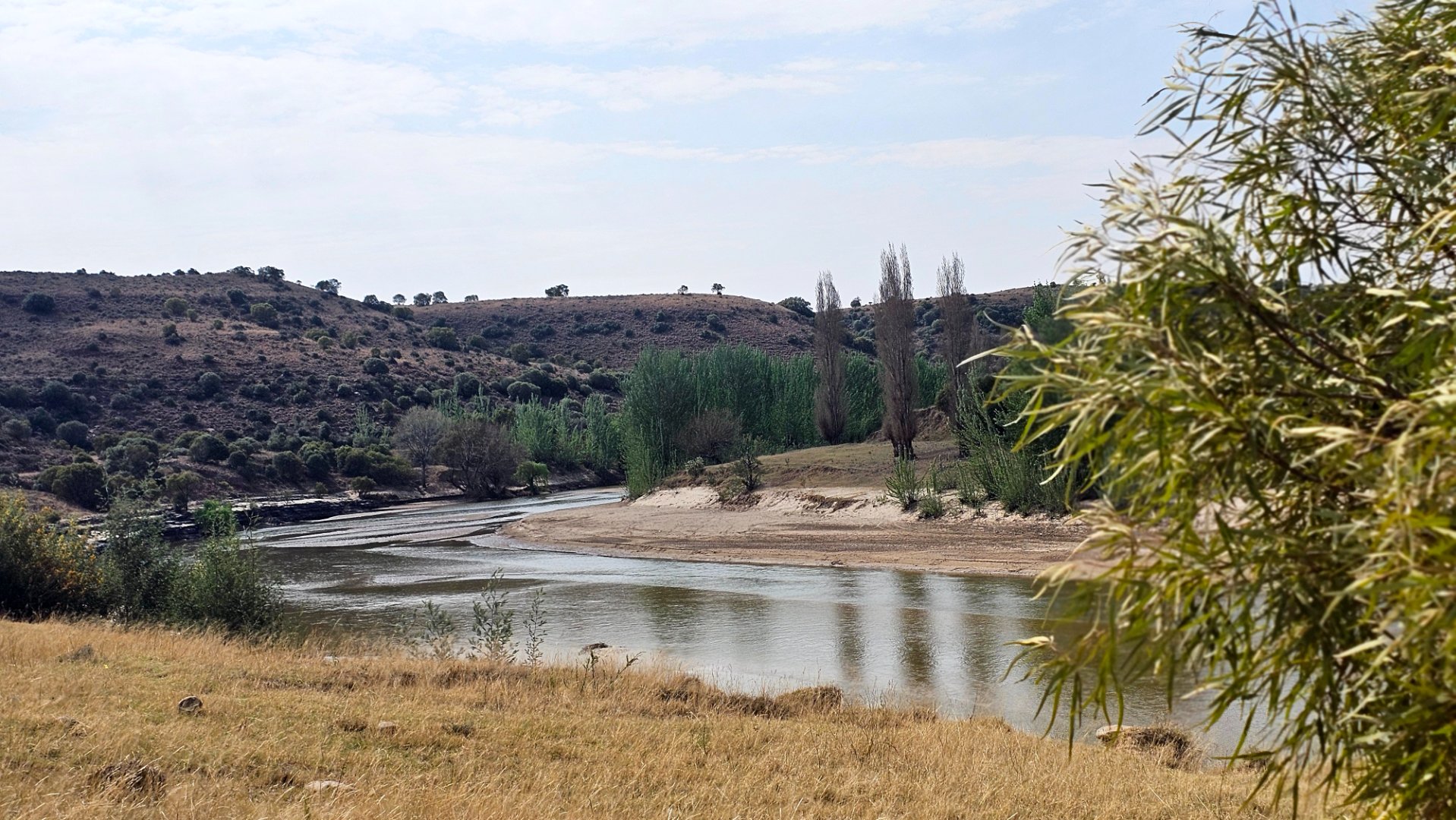 MIXED-USE FARM FOR SALE – LADYBRAND DISTRICT