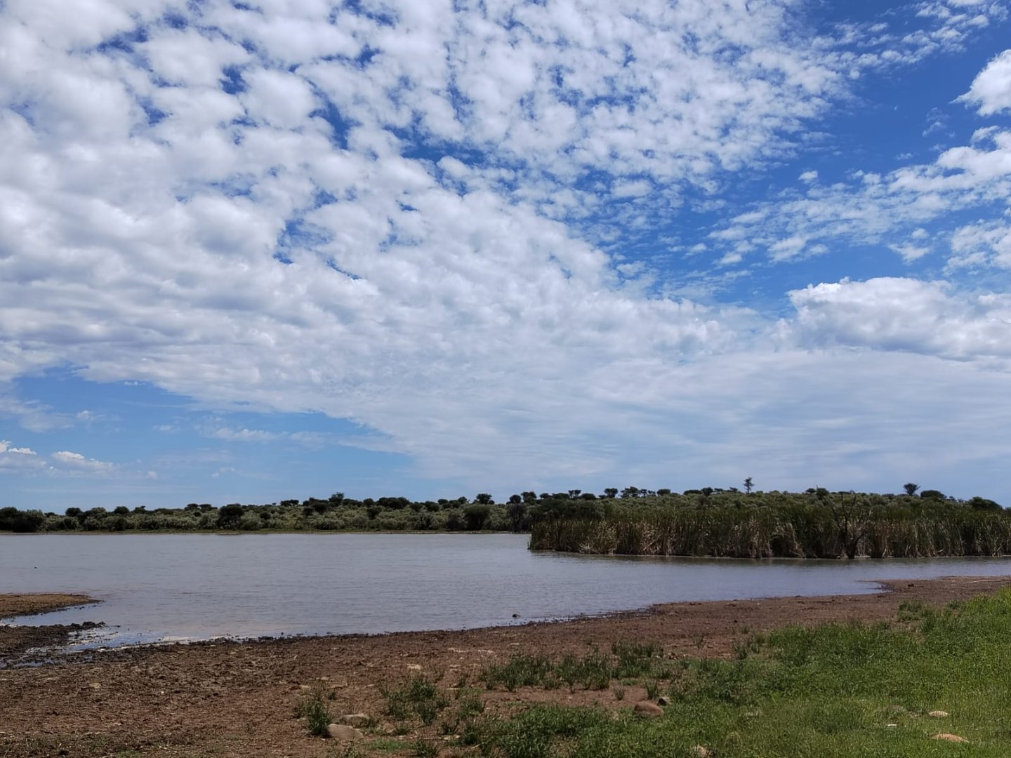 2392HA GAME, CATTLE, LUCERNE AND IRRIGATION FARM photo 2