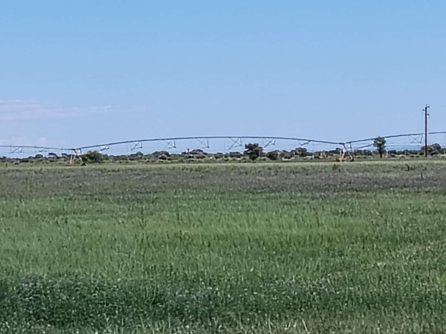 2392HA GAME, CATTLE, LUCERNE AND IRRIGATION FARM photo 3
