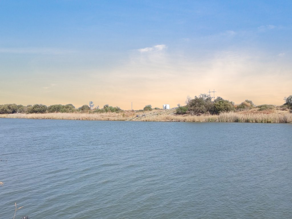 IRRIGATION FARM FOR SALE – DOUGLAS NORTHERN CAPE photo 3