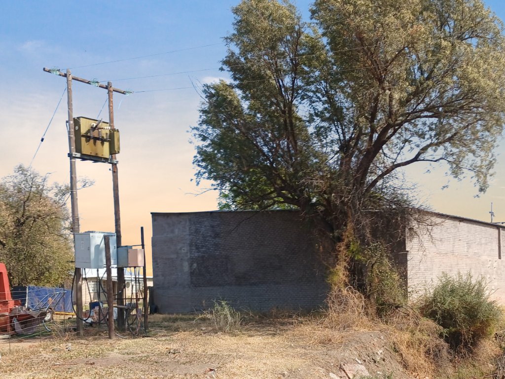 IRRIGATION FARM FOR SALE – DOUGLAS NORTHERN CAPE photo 5