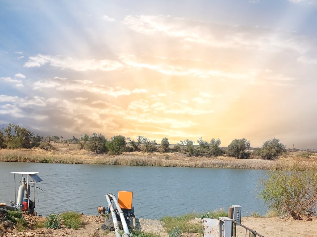 IRRIGATION FARM FOR SALE – DOUGLAS NORTHERN CAPE