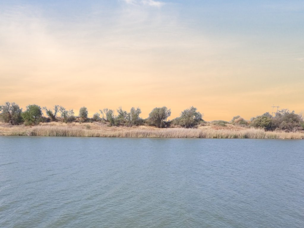 IRRIGATION FARM FOR SALE – DOUGLAS NORTHERN CAPE photo 2