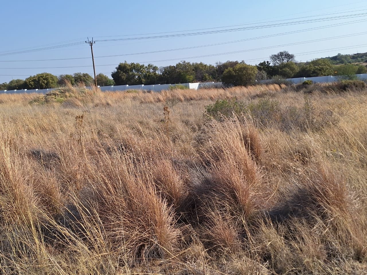 Vacant Land for sale in Tredenham.  photo 5