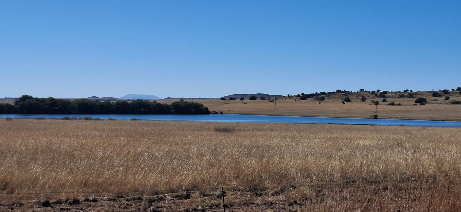Farm for Sale Bloemfontein Rural