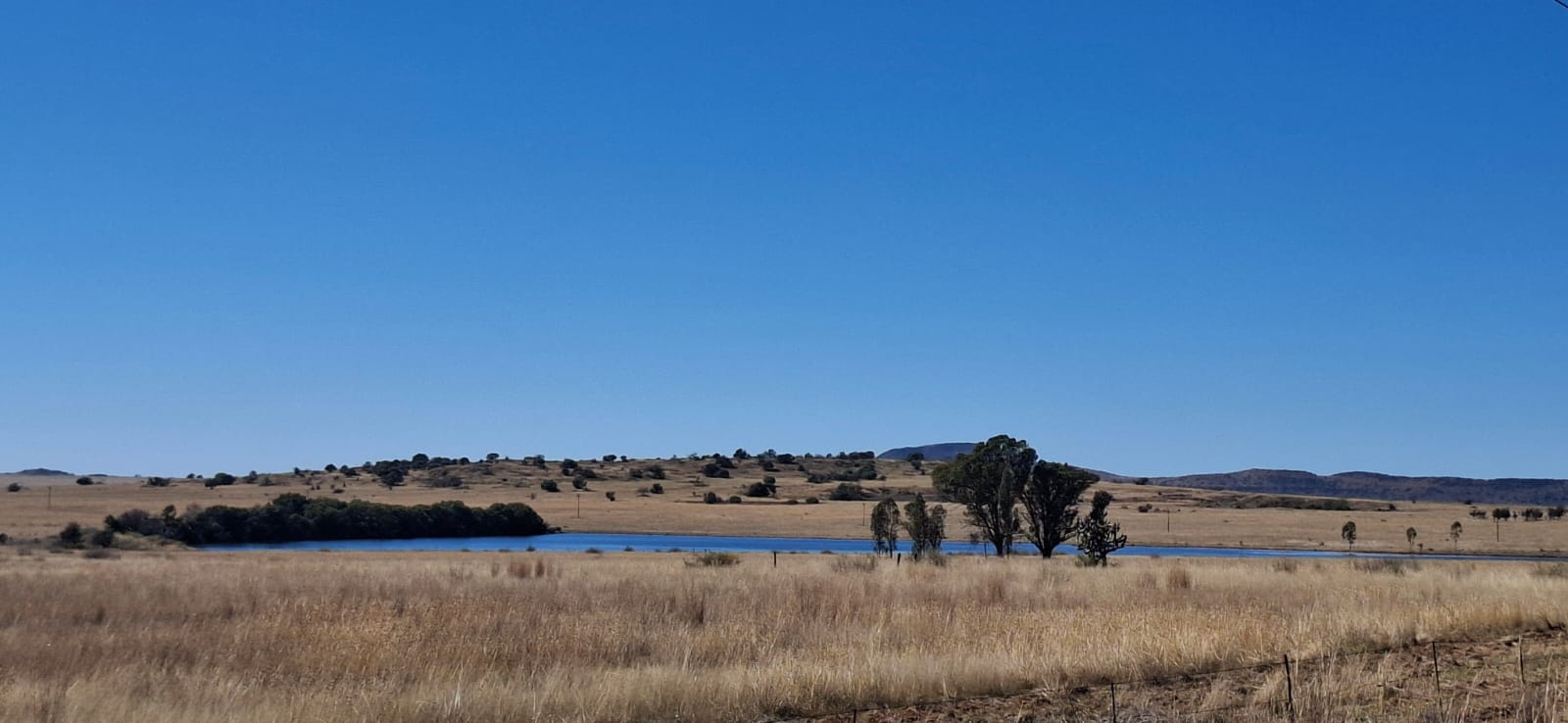 Farm for Sale Bloemfontein Rural photo 2