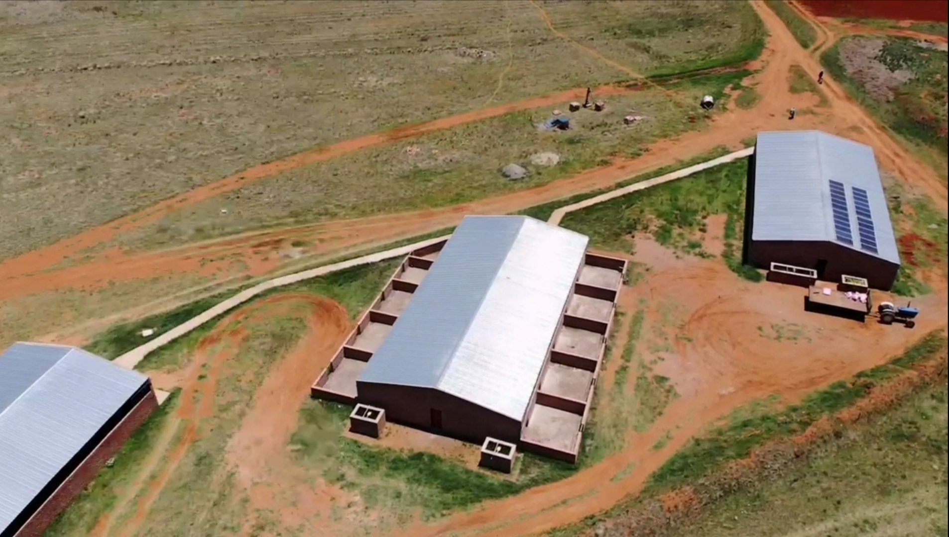 Prime Pig Farming Opportunity in Dealesville, Free State photo 2