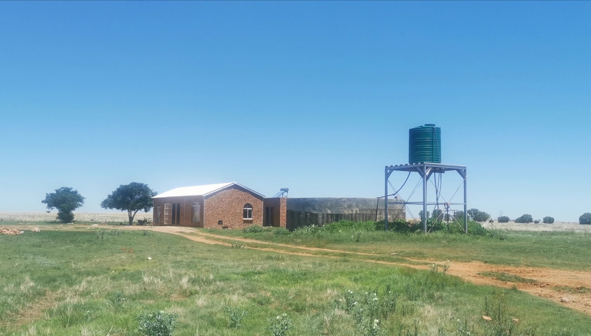 Prime Pig Farming Opportunity in Dealesville, Free State photo 3